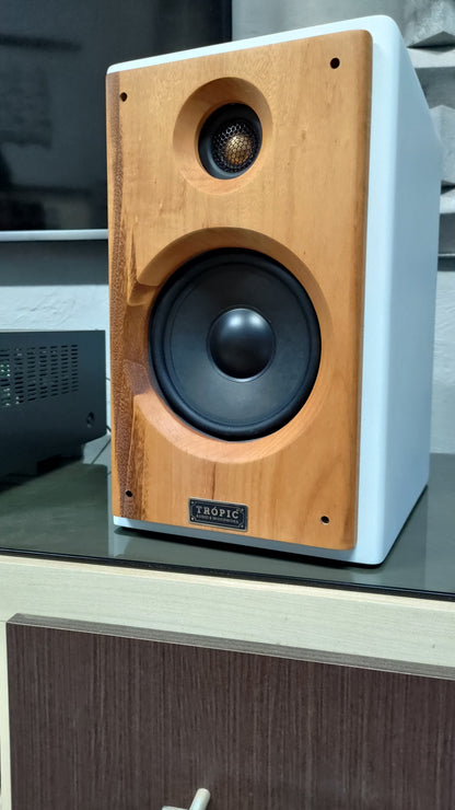 Bookshelf TA-120 Studio In Colors - Hi-Fi (PAR)