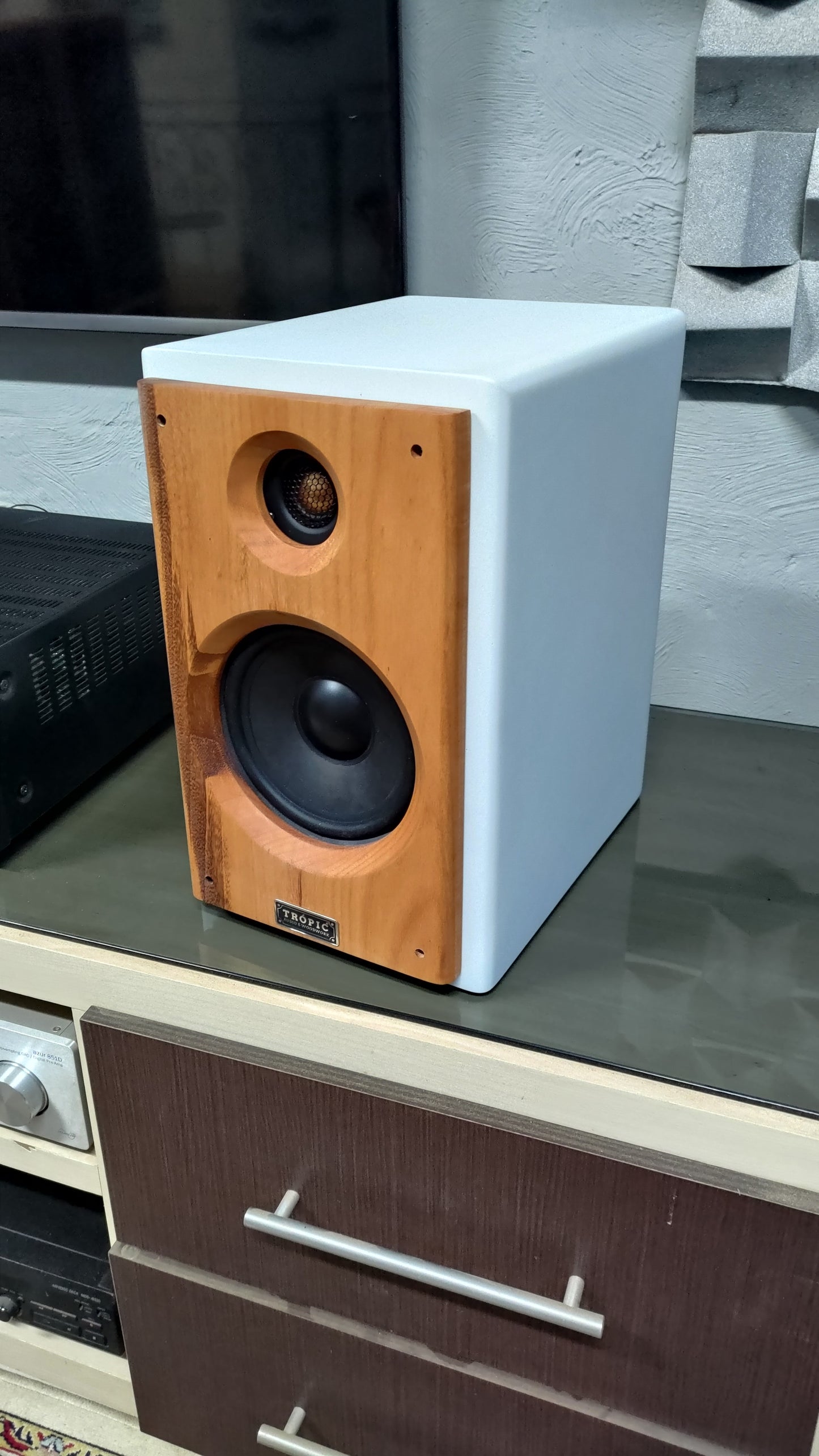 Bookshelf TA-120 Studio In Colors - Hi-Fi (PAR)