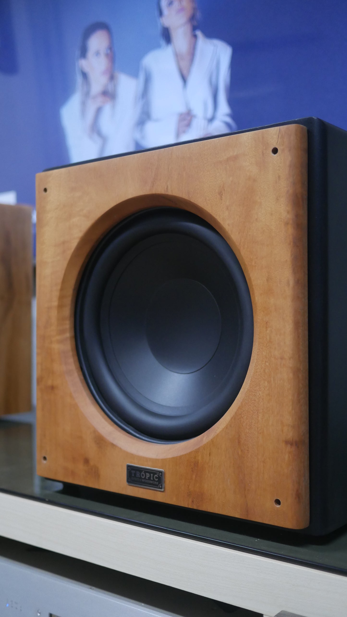 Subwoofer TA-SUB 10" Ativo image 1